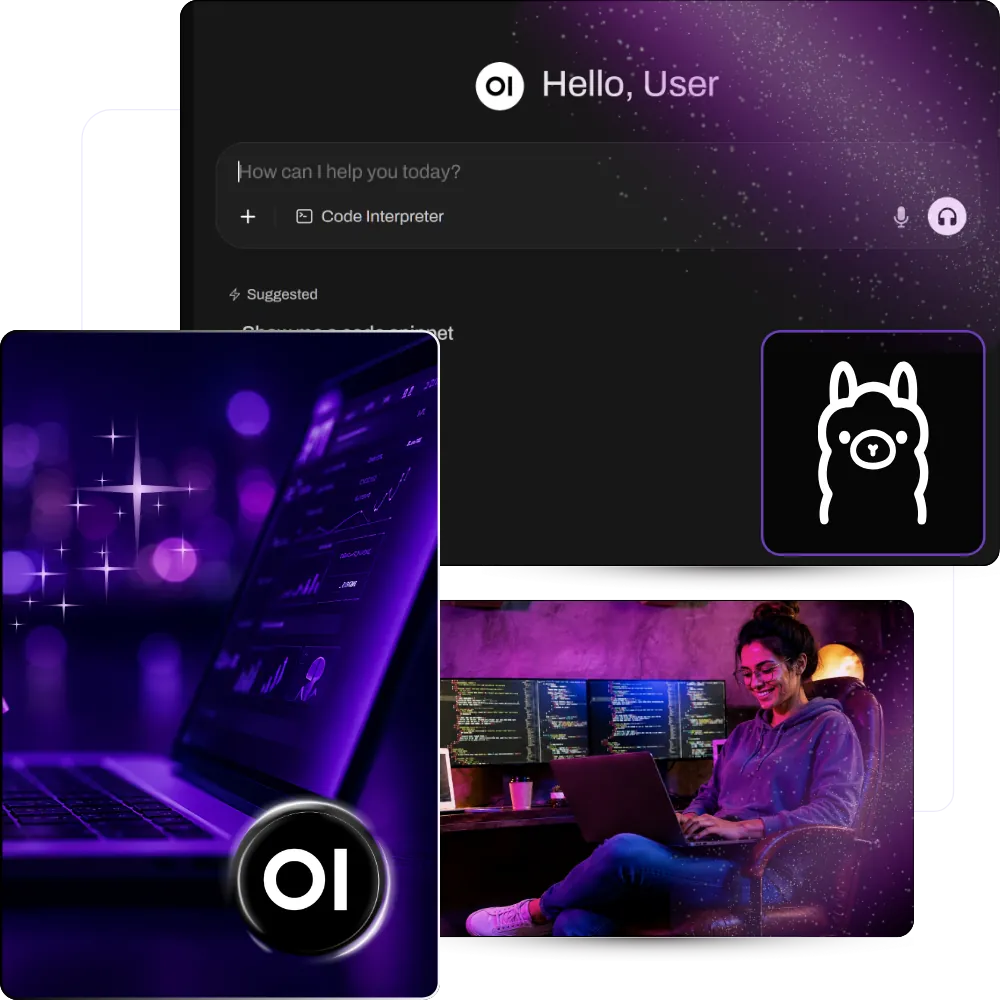 Ollama VPS hosting - A private ChatGPT for a small team